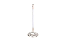 Stainless Steel Exhaust Valve (ZZ502 and ZZ572) - 88963128